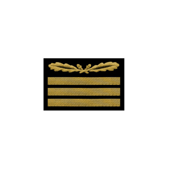 WH-Sleeve Insignia