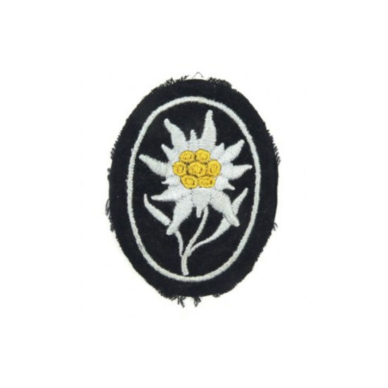 SS-sleeve Insignia